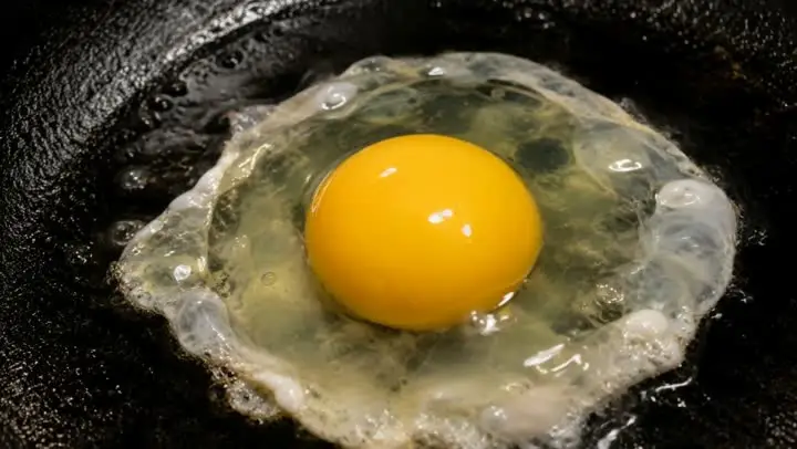 Egg white
